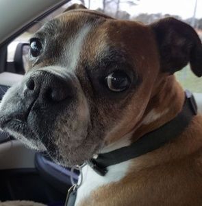 Meet your Posher, Jennifer